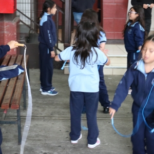 Día de la Actividad Física